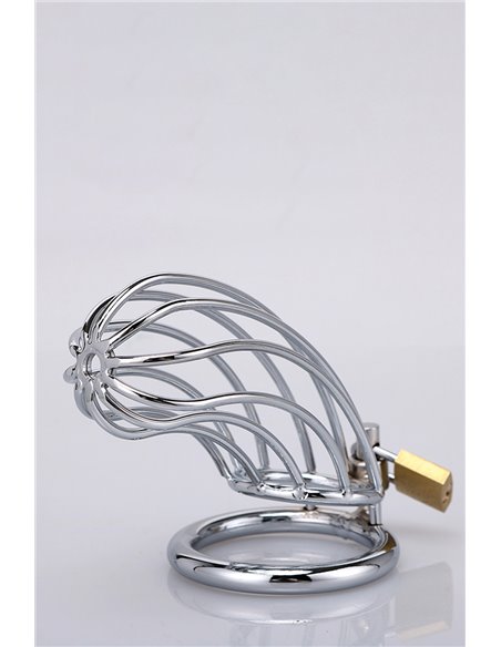 Cage à pénis Banana Shape - XXX Dreamtoys