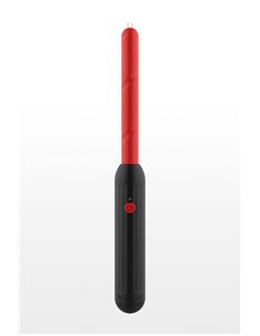 Cravache électrique Prick Stick - Taboom 2