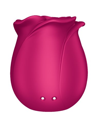 Stimulateur clitoridien Satisfyer Pro 2 Classic Blossom