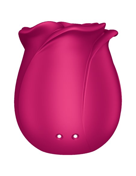 Stimulateur clitoridien Satisfyer Pro 2 Classic Blossom