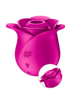 Stimulateur clitoridien Satisfyer Pro 2 Modern Blossom