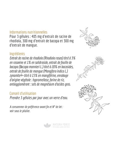 Rhodiola Rosea - gélules - Natura Force