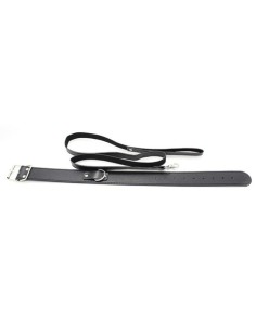 Collier Laisse Premium 2