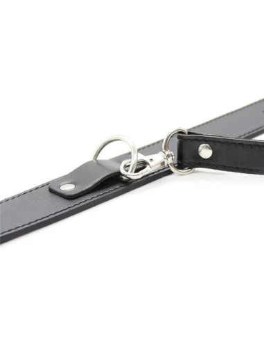 Collier Laisse Premium