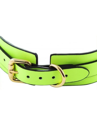 Collier-laisse phosphorescent Luminous Vert