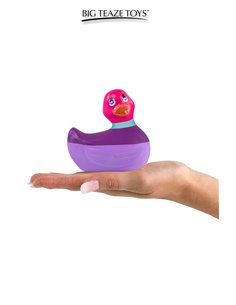 Mini canard vibrant Colors rose 2