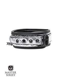 Collier argenté avec laisse - Master Series 2
