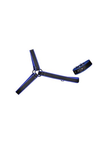 Harnais Gladiator bleu et noir - Ouch!